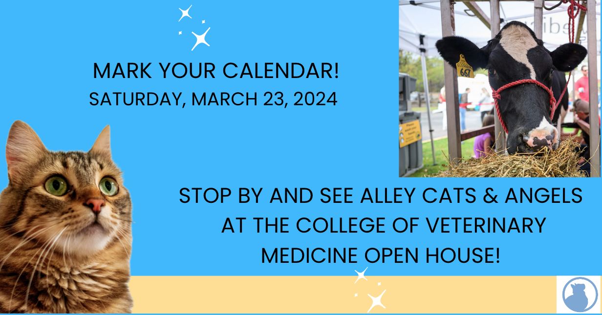 Visit Alley Cats & Angels at the NC State College of Veterinary