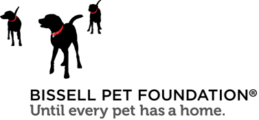 Bissell Pet Foundation Bissell Pet Foundation
