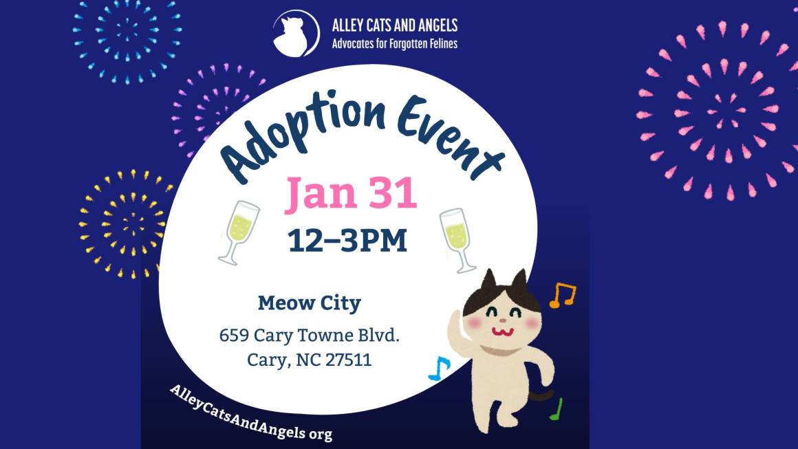 Adoption Event at Meow City