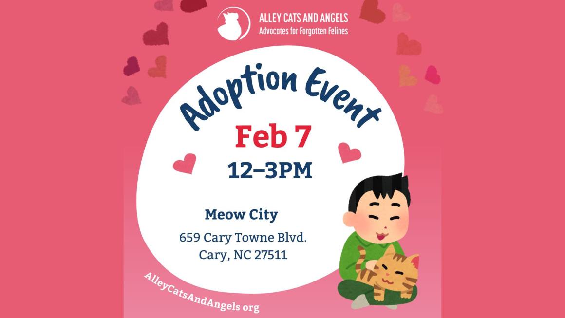 Find Your PURR-fect Valentine Adoption Event at Meow City