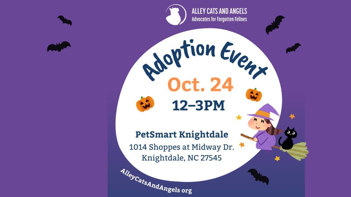 Adoption Event at PetSmart Knightdale
